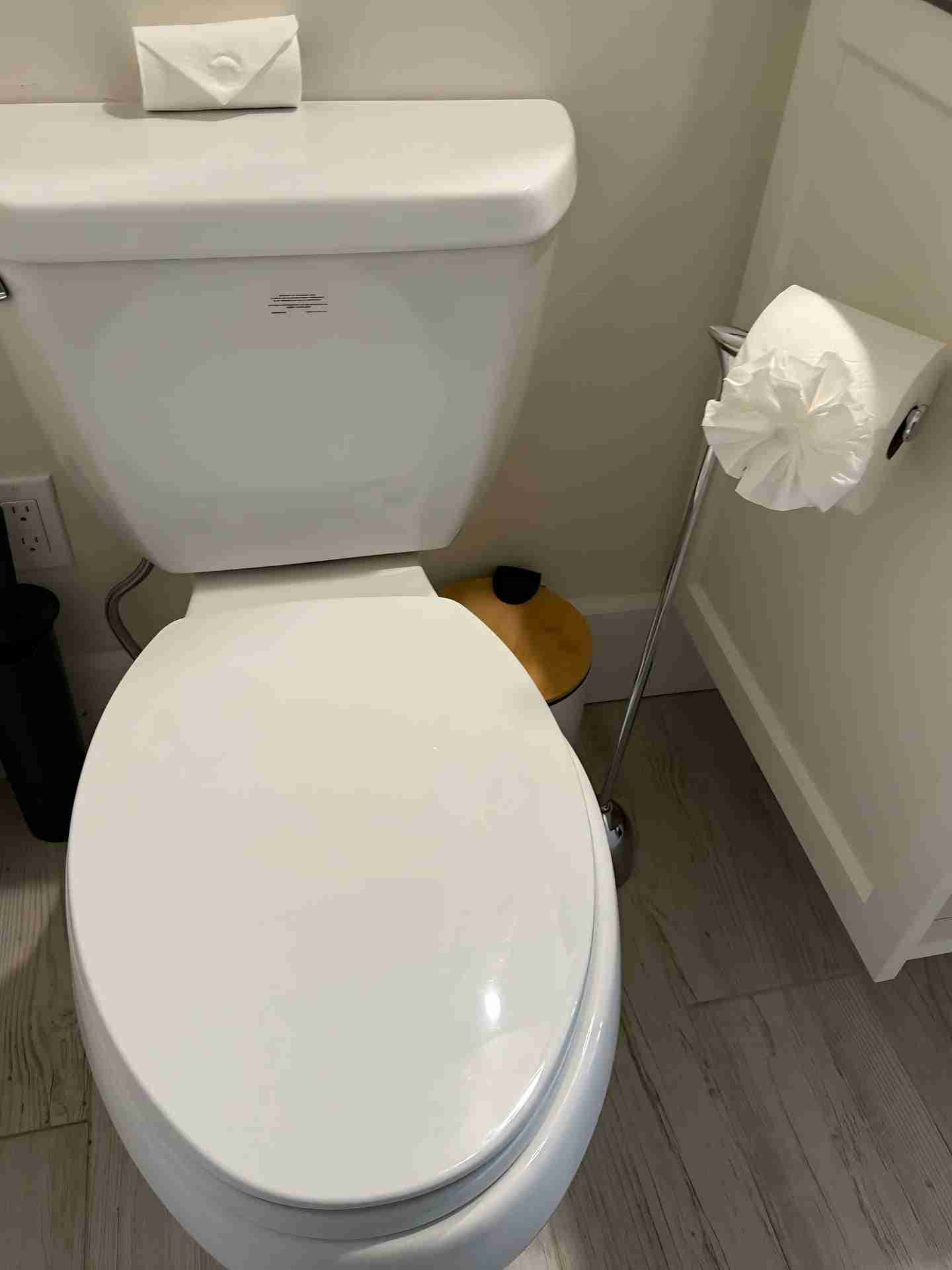 Professionally sanitized toilet after deep cleaning in Rancho Santa Fe, CA.